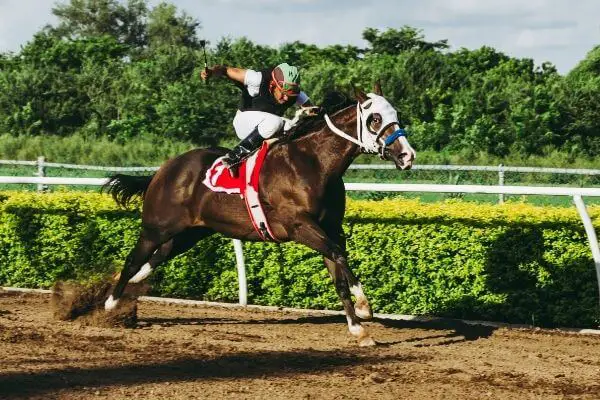 Equestrian at Olympics