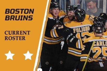 Boston Bruins Roster & Lineup (2021-2022)