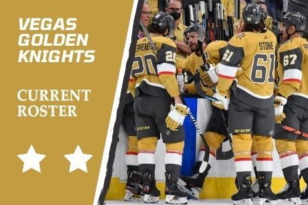 Vegas Golden Knights Current Roster & Players Lineup for 2021-2022