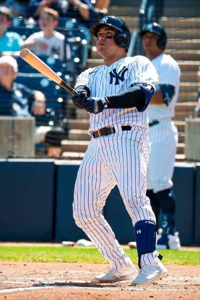 Jose Trevino - New York Yankees