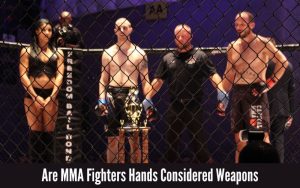 Are MMA Fighters Hands Considered Weapons
