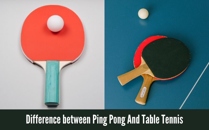 Difference between Ping Pong And Table Tennis