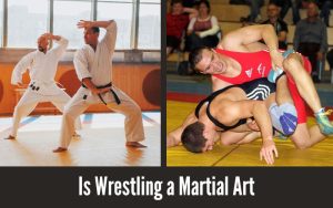 Is Wrestling a Martial Art