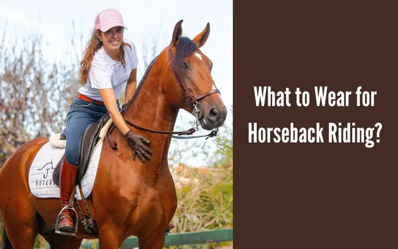 What to Wear for Horseback Riding?