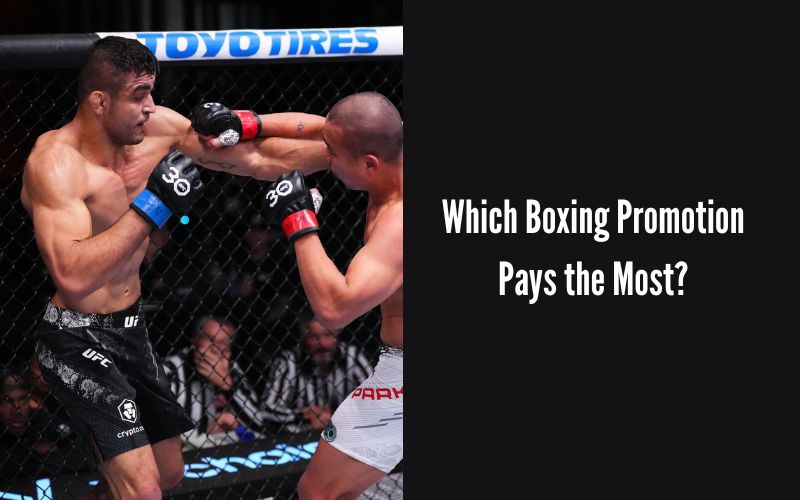 Which Boxing Promotion Pays the Most?