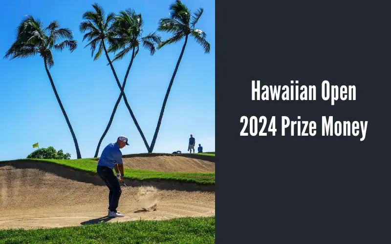 Hawaiian Open 2024 Prize Money