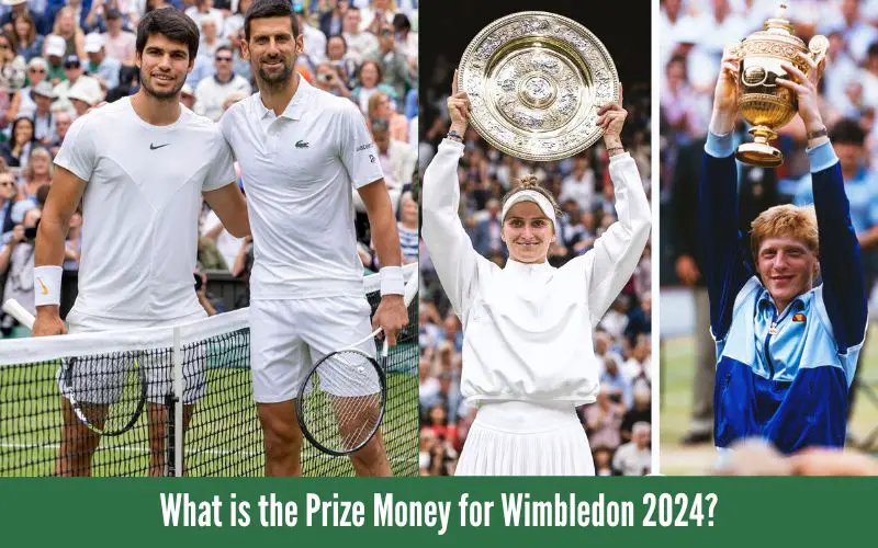 What is the Prize Money for Wimbledon 2024?