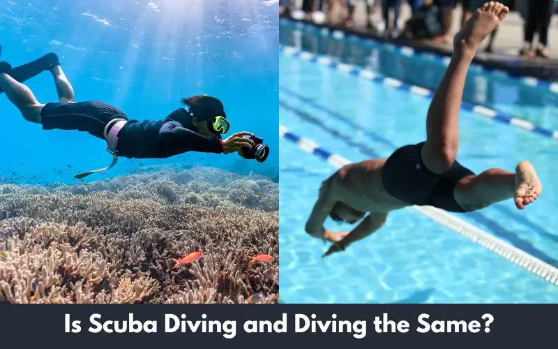 Is Scuba Diving and Diving the Same?