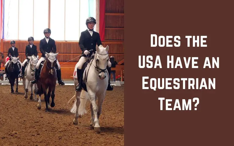 Does the USA Have an Equestrian Team