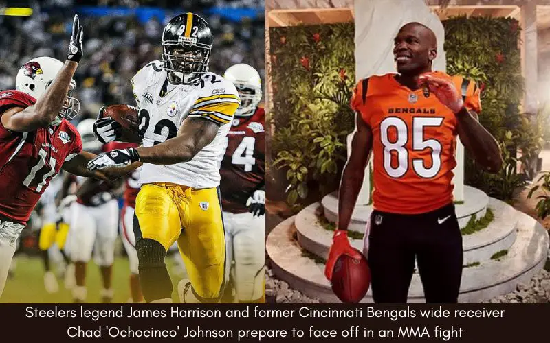 Steelers legend James Harrison and former Cincinnati Bengals wide receiver Chad 'Ochocinco' Johnson prepare to face off in an MMA fight