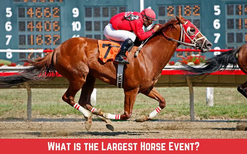 Largest Horse Event