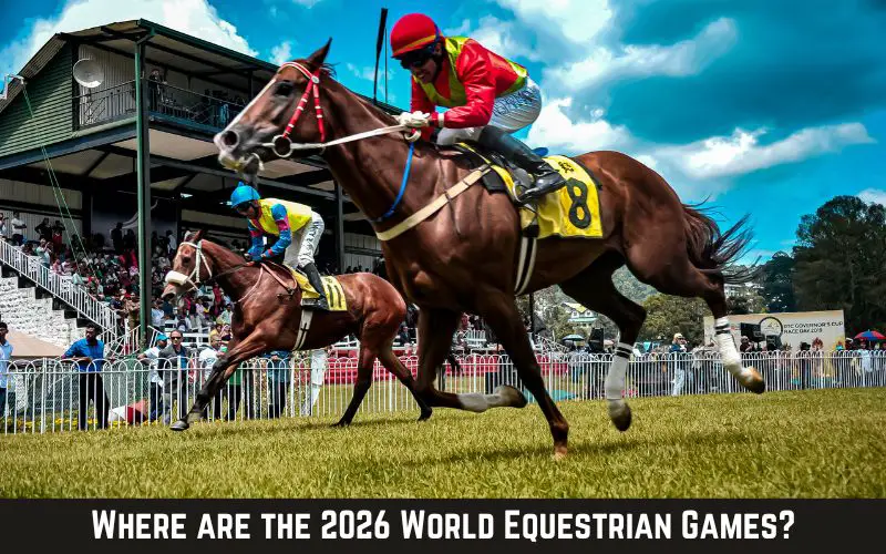 2026 World Equestrian Games